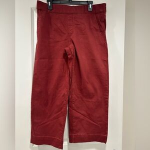 Gloria Vanderbilt Men's Burgundy Chinos
